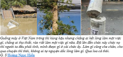 tuong-nang-tien