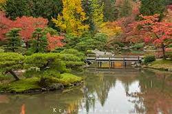 japanese-lake