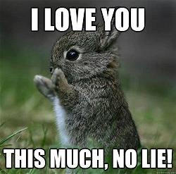 i-love-you-this-much-no-lie-funny-love-meme-picture-1