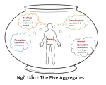 ngu-uan