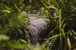 epa