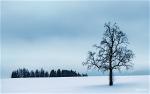 snow-4