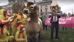 z-london-protest-trump-trade-deal