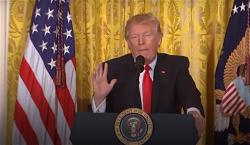 z-trump-donald-trump-university