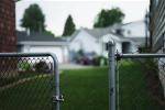 photo-neighbor