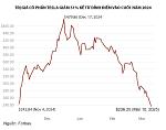 tesla-stock-loses-cap