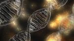 cong-cu-chinh-sua-gen-crispr