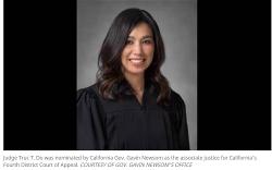 z-truc-do-judge