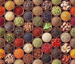 indian-curry