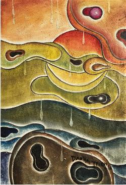 dao-hai-trieu