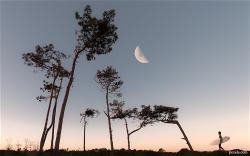moon-1
