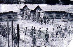 reeducationcamps