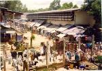 img-6861