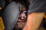 gettyimages-1767200570