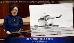 michelle-steel
