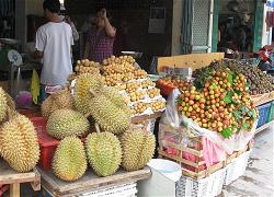 a-trai-cay-thai-sau-rieng-large