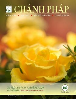 biachanhphap142-1-