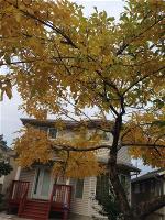 img-0128