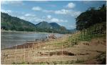 03-vinh