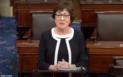 z-susan-collins