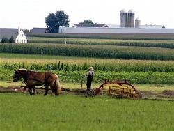 amish