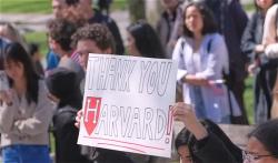 harvard