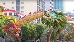 a-duong-hoa-nguyen-hue-1