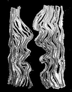 a-kiss